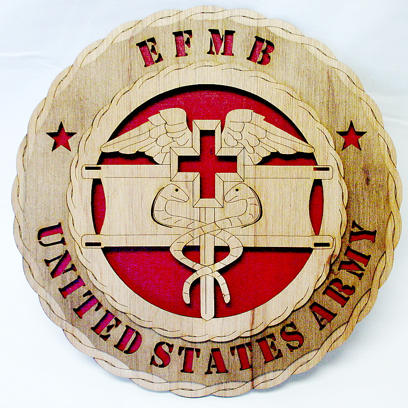Expert Field Medical Badge Wall Tribute
